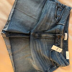 LOFT Women's Classic Blue Denim Shorts